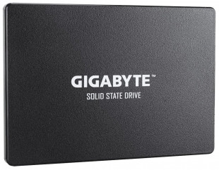 Жёсткий диск Gigabyte GP-GSTFS31100TNTD