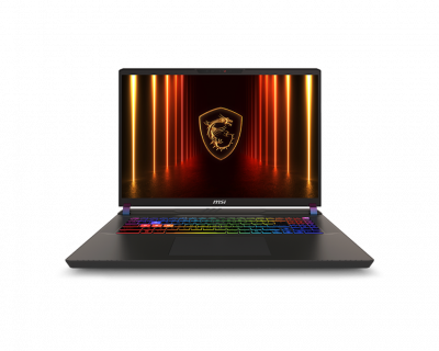 Ноутбук MSI Vector 17 HX A2XWJG-062RU (9S7-17S372-062)