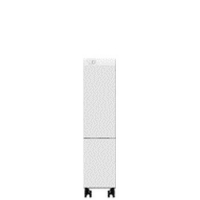 Модуль Xerox 450S03139