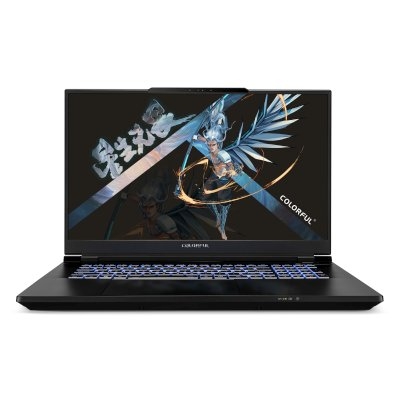 Ноутбук Colorful Evol X17 Pro Max (A10003400441)