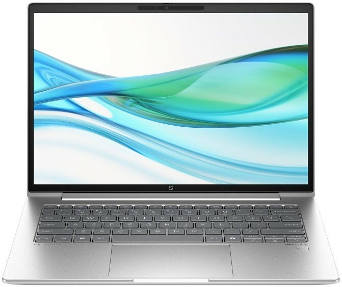 Ноутбук HP ProBook 440 G11 (A45RMPT)