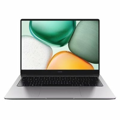 Ноутбук Honor MagicBook X14 2025 (5301ALXB)