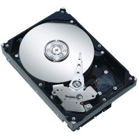 Жёсткий диск Seagate ST31000528AS