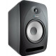 Активный монитор Tannoy REVEAL 802