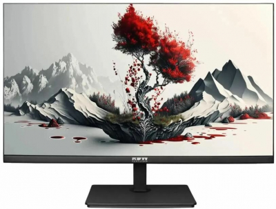 Монитор RDW Computers RDW2401K (2401K/F00В3120V2A1)