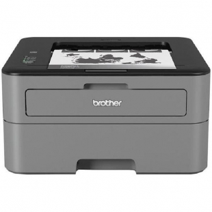 Принтер Brother HLL2300DR1