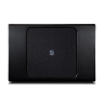 Сабвуфер Bluesound Professional BSW150 BLK