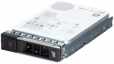 Жёсткий диск Dell 24TB (161-BCNJ)