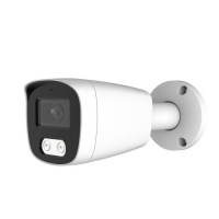 IP-камера AltCam ICF46IR