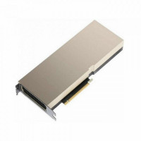 Видеокарта Nvidia Tesla A100 (900-21001-0020-000)