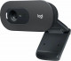 Веб-камера Logitech C505e (960-001373)