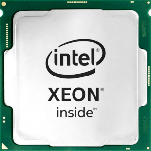 Процессор Intel Xeon E-2388G LGA1200 OEM (CM8070804494617)