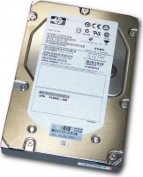 Жёсткий диск HP 516810-003