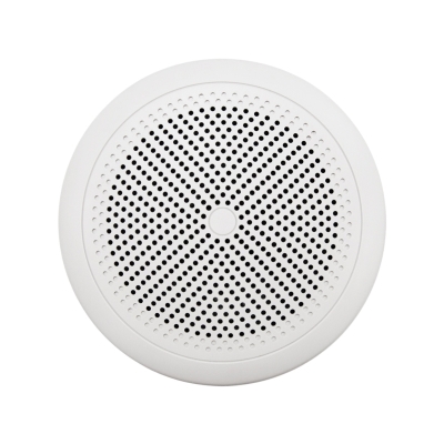 Акустическая система Ecler eIC52MS