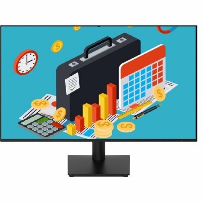 Монитор Classic Solution VA2491PEF