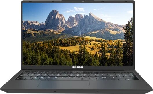 Ноутбук Rikor Pro 3 15 P-01 (ECEE9A4D)