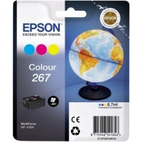 Картридж Epson C13T26704010