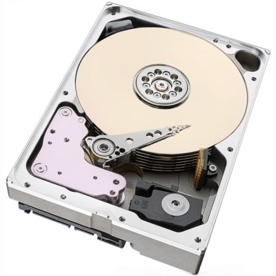 Жёсткий диск Western Digital WUH722222AL5204 (0F48052)