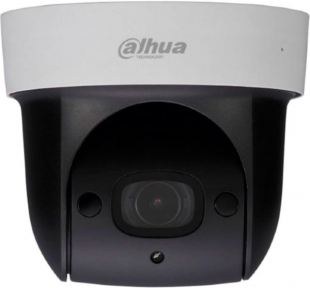 IP-камера Dahua DH-SD29204UE-GN