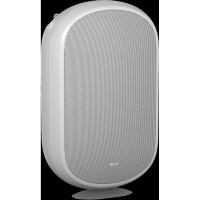 Акустическая система Tannoy DVS 801-WH