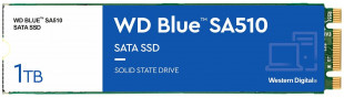 Жёсткий диск Western Digital WDS100T3B0B