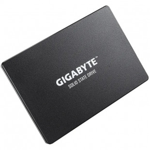 Жёсткий диск Gigabyte GP-GSTFS31120GNTD