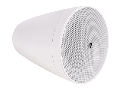 Акустическая система Intrend ITSPK-550PT-W