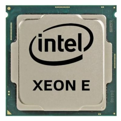 Процессор Intel Xeon E-2278GE OEM (CM8068404196302)