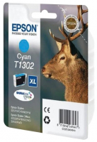Картридж Epson C13T13024012